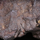 The space rock